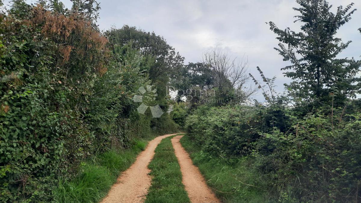 Terreno In vendita - ISTARSKA LIŽNJAN