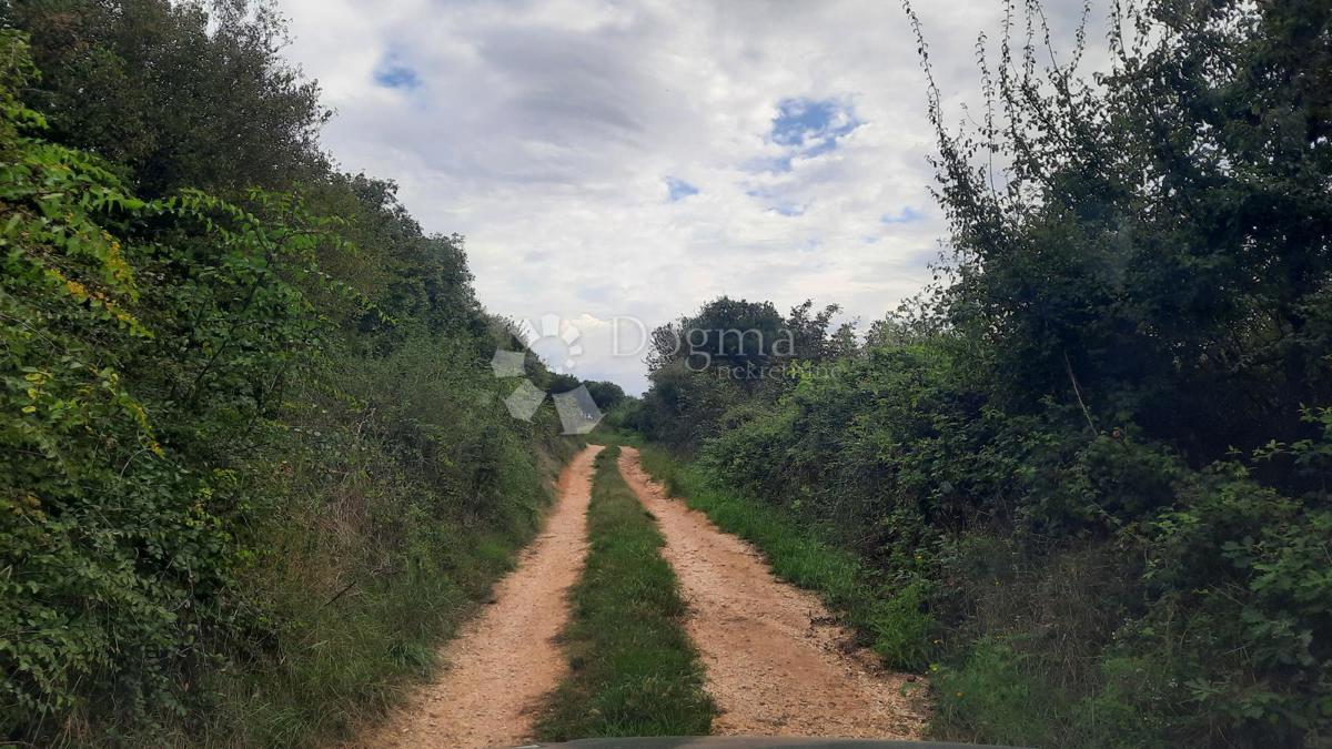 Terreno In vendita - ISTARSKA LIŽNJAN