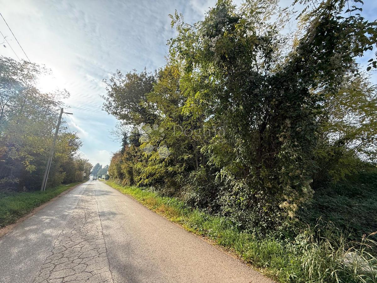 Grundstück Zu verkaufen - Istarska Poreč - foto 3/4
