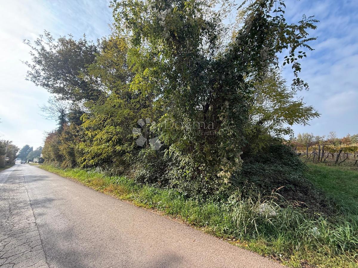 Grundstück Zu verkaufen - Istarska Poreč - foto 4/4