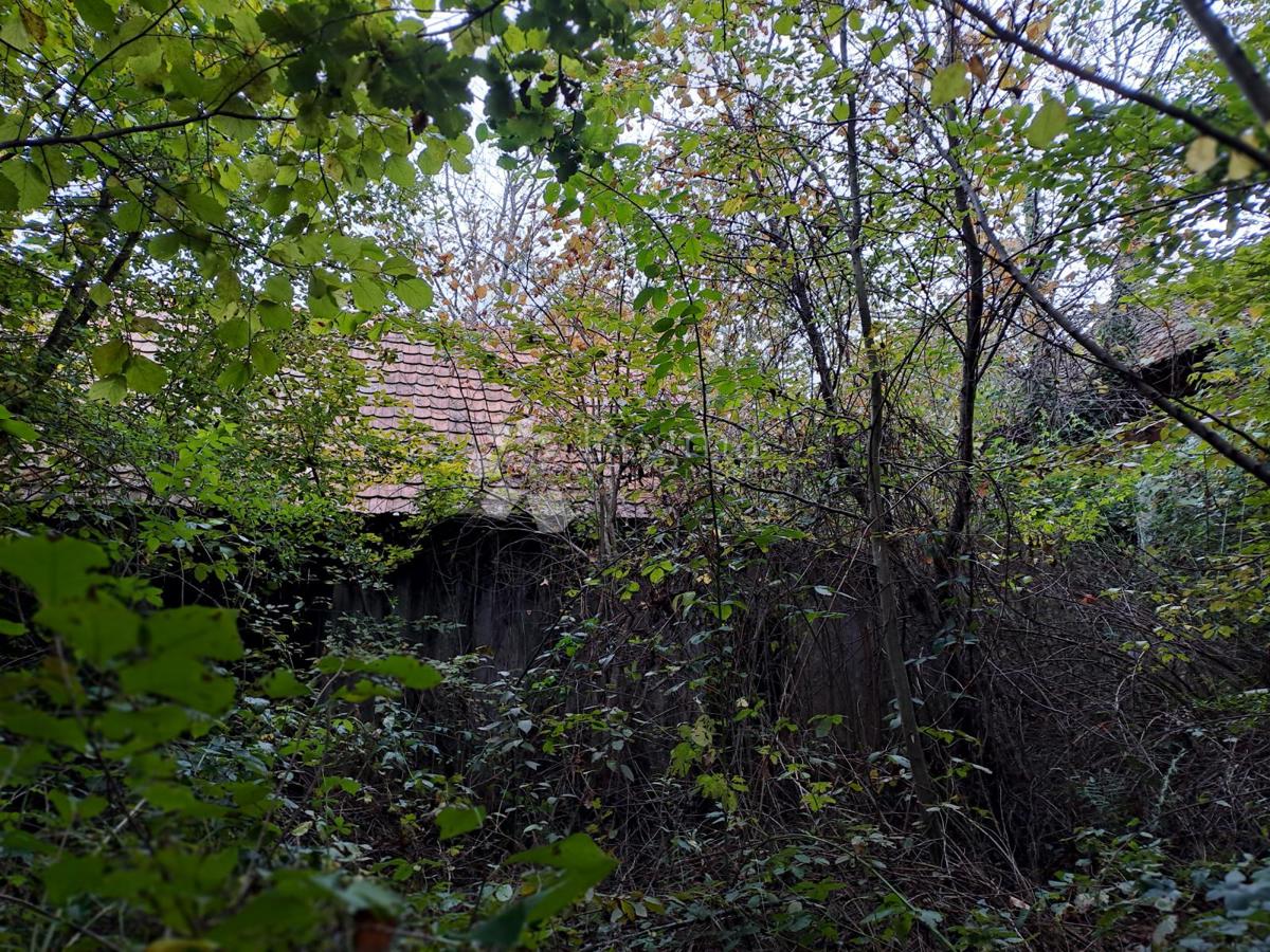Maison À vendre - Sisačko-moslavačka Gvozd - foto 5/17