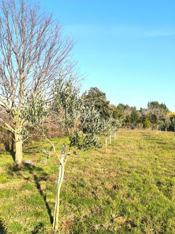 Parcela Na predaj - Istarska Medulin - foto 4/14