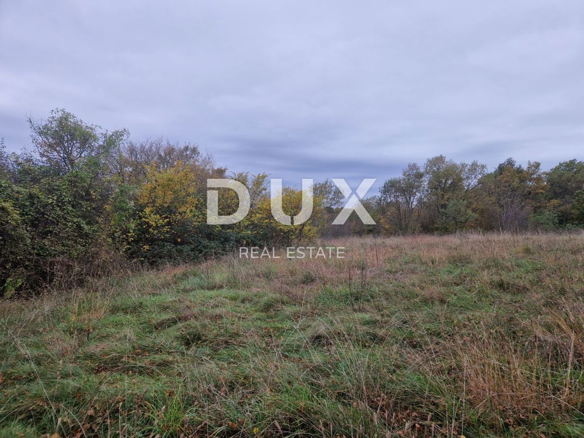 Land For sale - Istarska Barban - foto 2/3