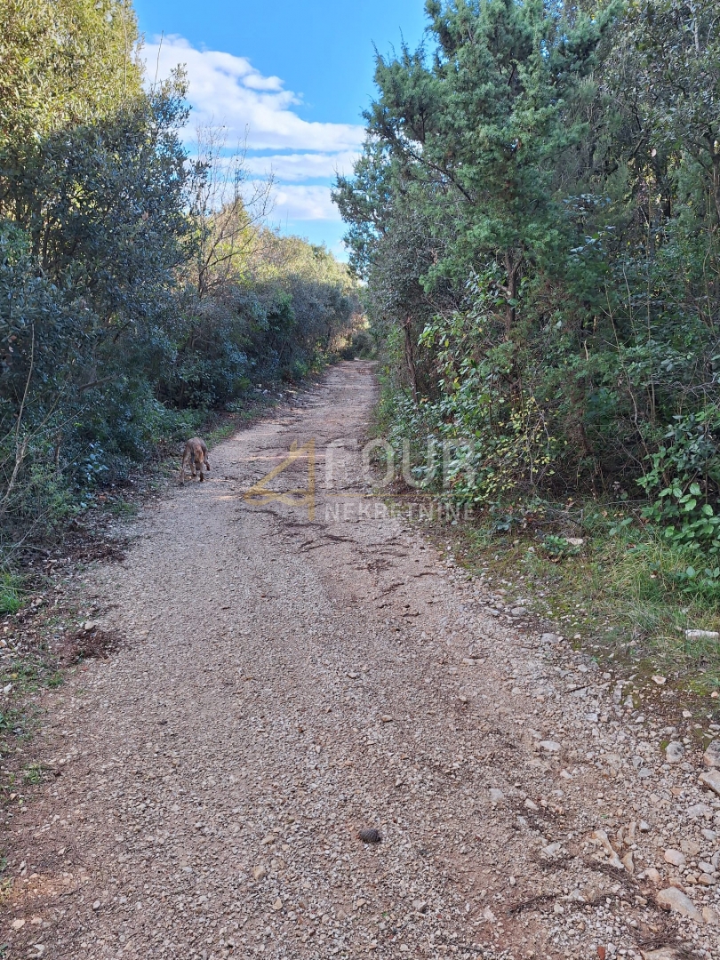 Terrain À vendre - Istarska Marčana - foto 1/3