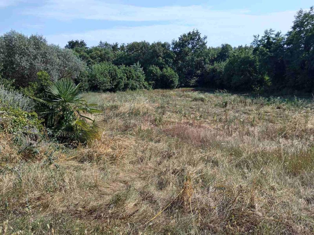 Grundstück Zu verkaufen - Istarska Umag - foto 2/2