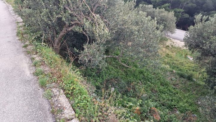 Grundstück Zu verkaufen - Splitsko-dalmatinska Podgora - foto 2/6
