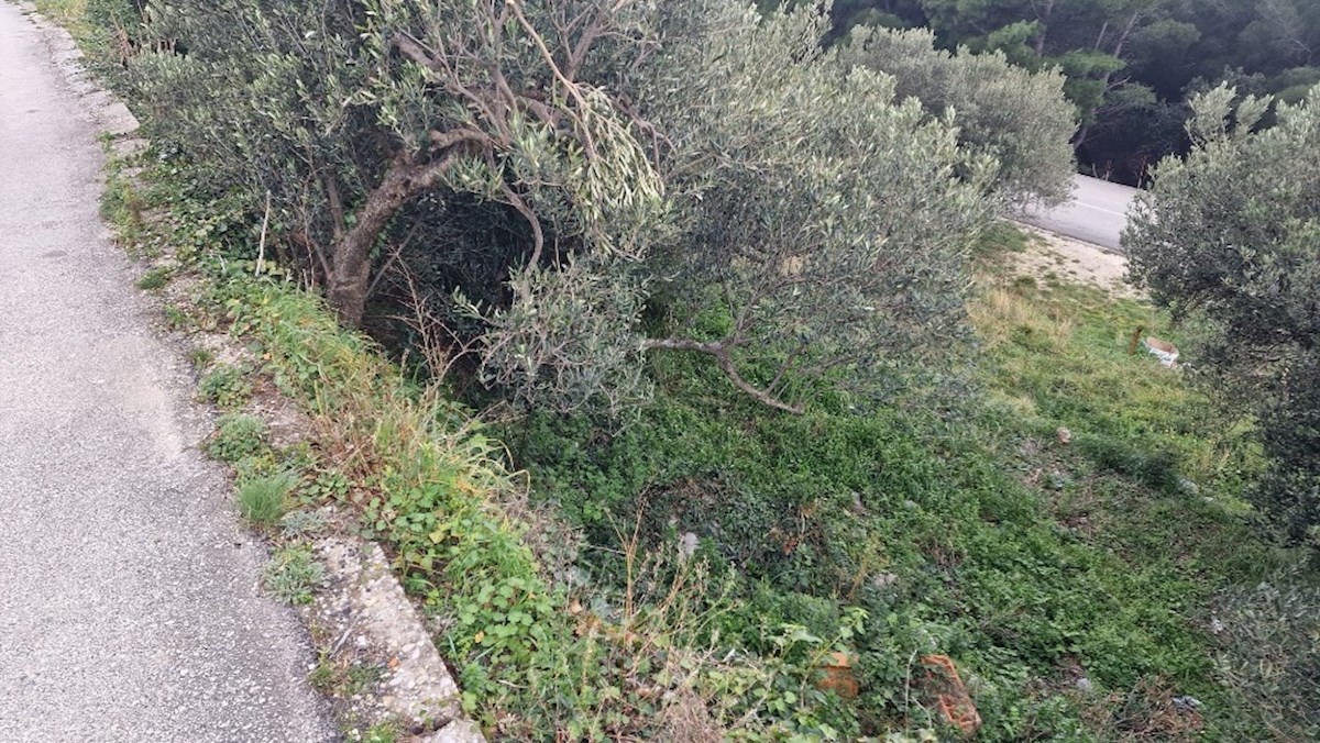 Terreno In vendita - Splitsko-dalmatinska Podgora - foto 2/6