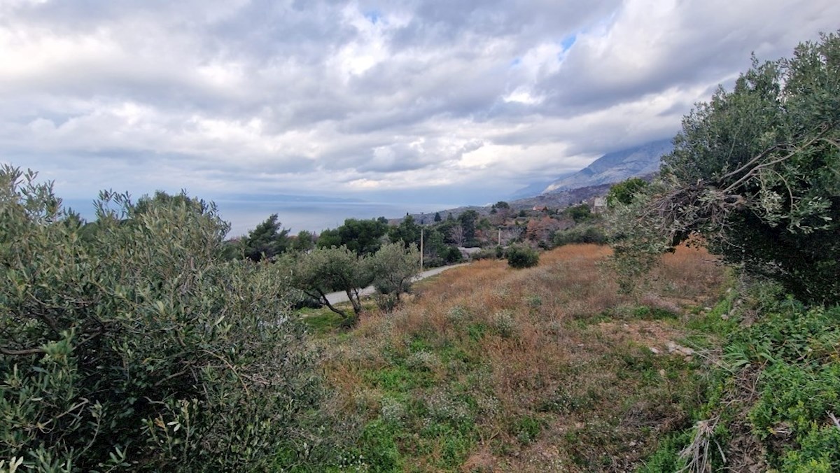 Terreno In vendita - Splitsko-dalmatinska Podgora - foto 5/6