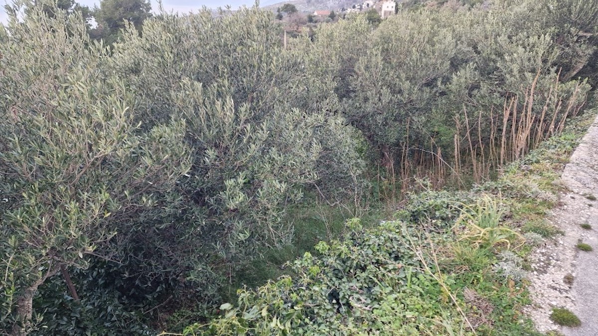 Terreno In vendita - SPLITSKO-DALMATINSKA PODGORA