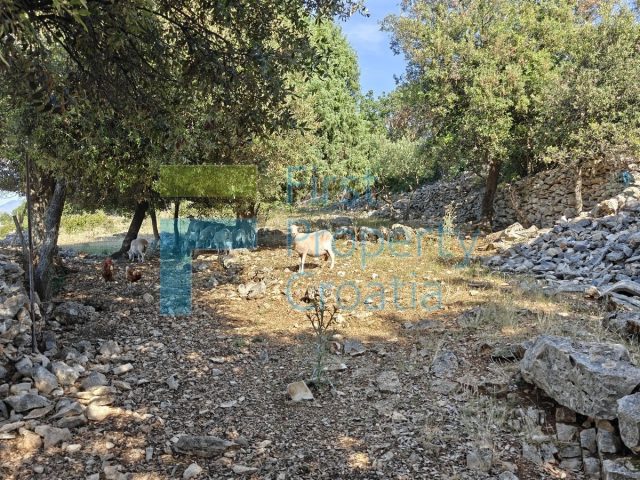 Parcela Naprodaj - Splitsko-dalmatinska Brač - foto 2/7