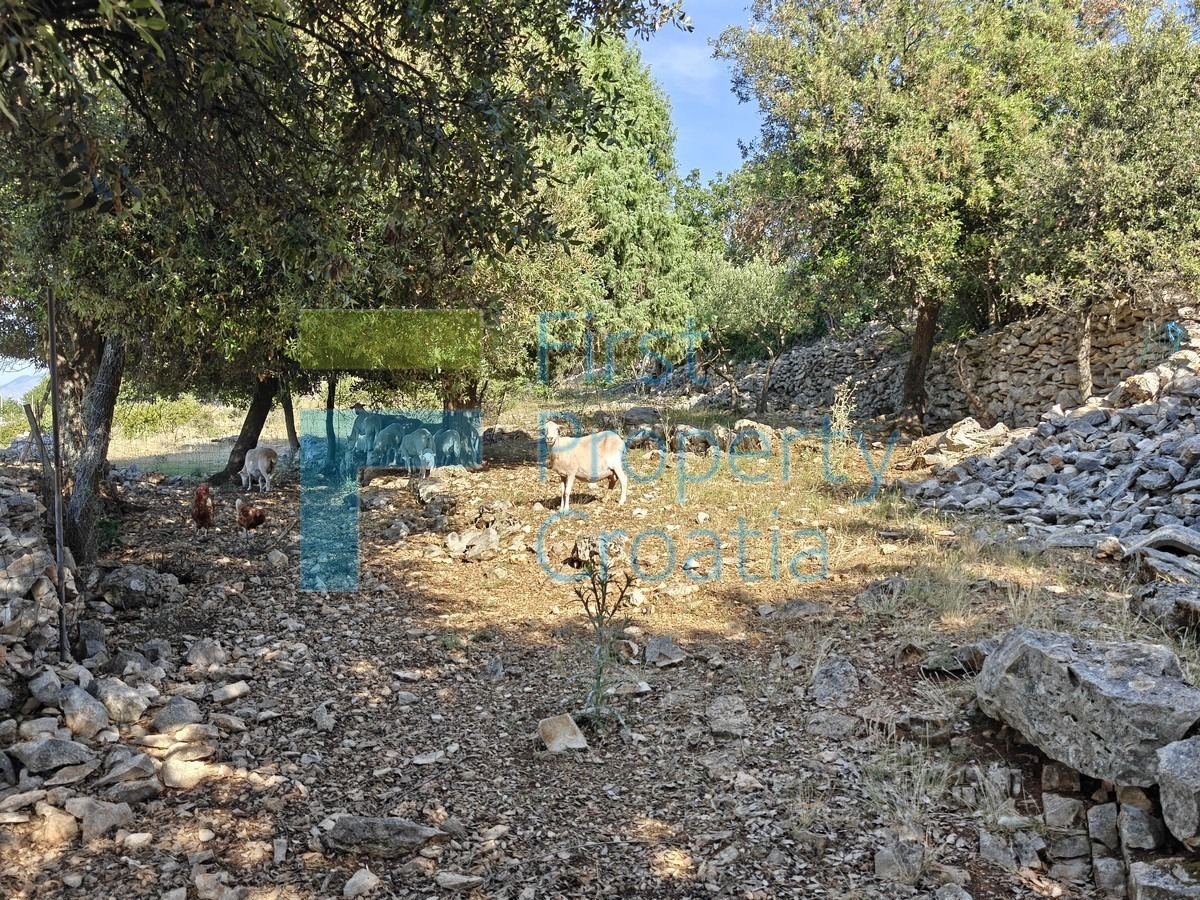 Pozemek Na prodej - SPLITSKO-DALMATINSKA BRAČ