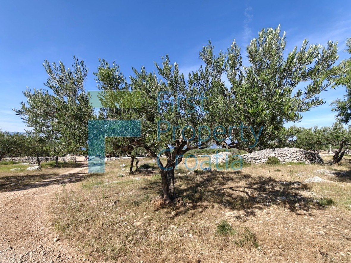 Pozemek Na prodej - SPLITSKO-DALMATINSKA BRAČ