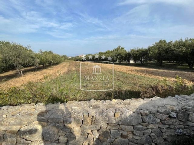 Grundstück zu verkaufen 2162 m² – Novigrad