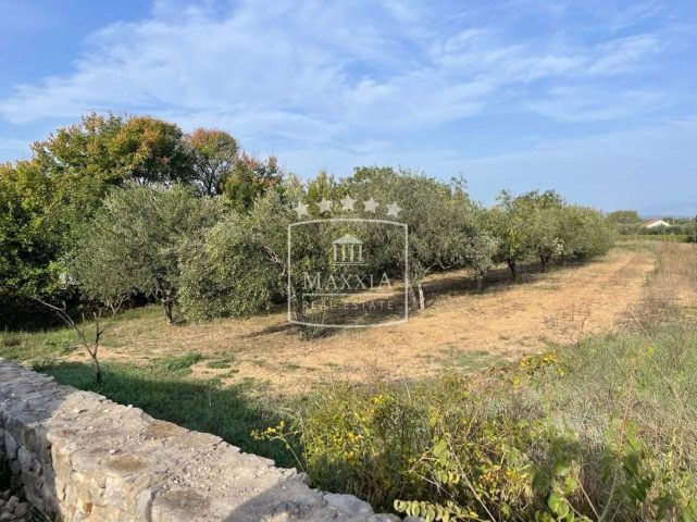 Terreno In vendita - Zadarska Novigrad - foto 5/11