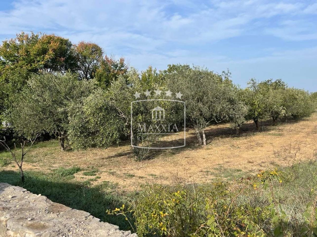 Terreno In vendita - Zadarska Novigrad - foto 3/11