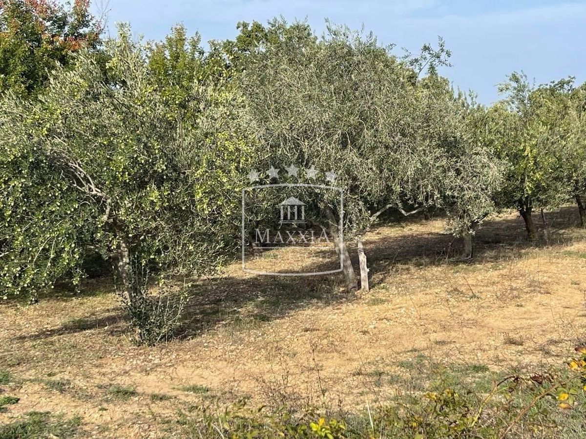 Terreno In vendita - Zadarska Novigrad - foto 4/11