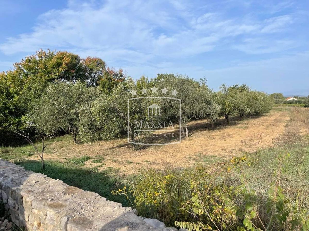 Terreno In vendita - Zadarska Novigrad - foto 5/11