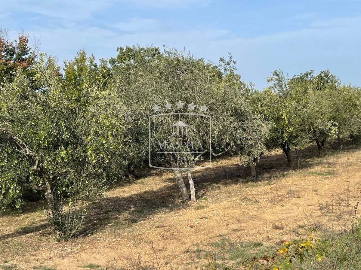 Terreno In vendita - ZADARSKA NOVIGRAD