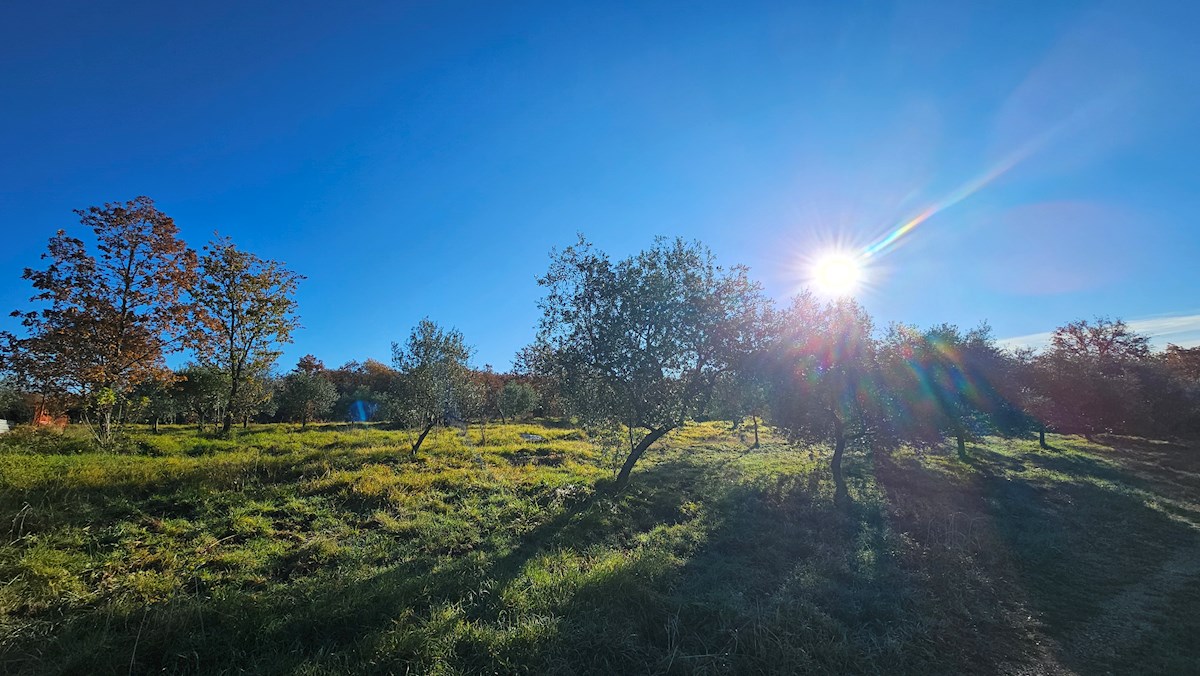 Terreno In vendita - Istarska Buje - foto 1/9