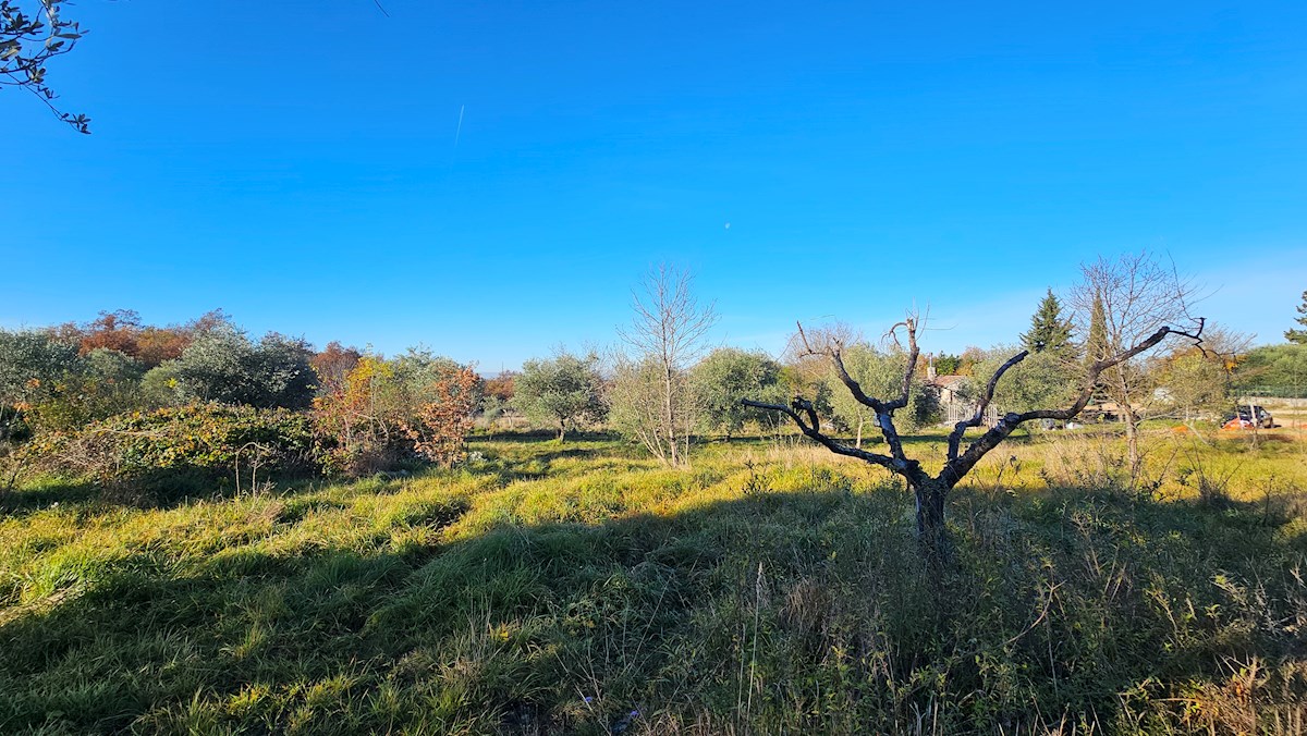 Terreno In vendita - Istarska Buje - foto 2/9