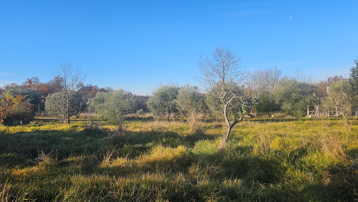 Terreno In vendita - Istarska Buje - foto 4/9