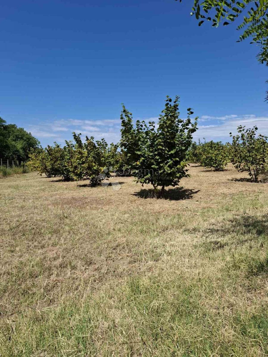 Parcela Na predaj - Osječko-baranjska Beli Manastir - foto 2/17
