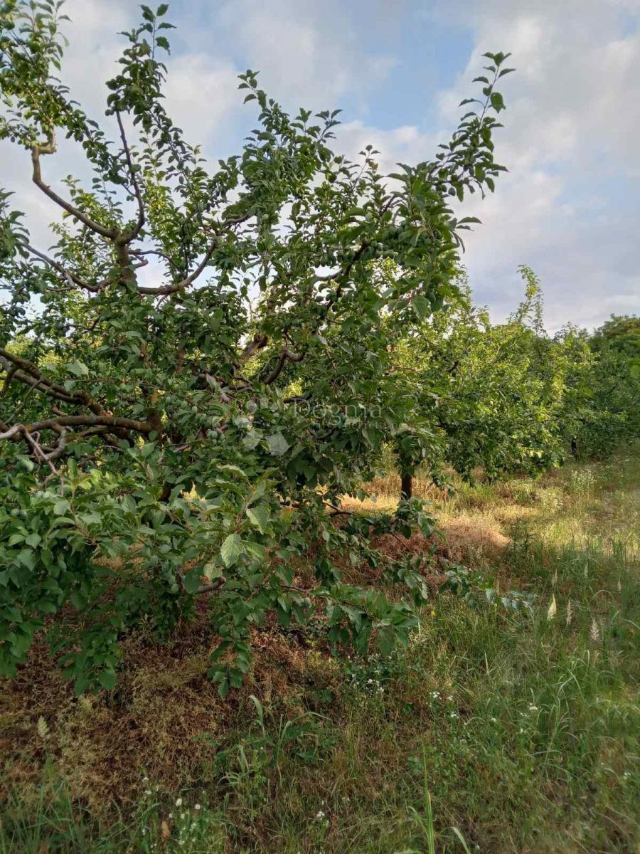 Parcela Na predaj - Osječko-baranjska Beli Manastir - foto 3/17