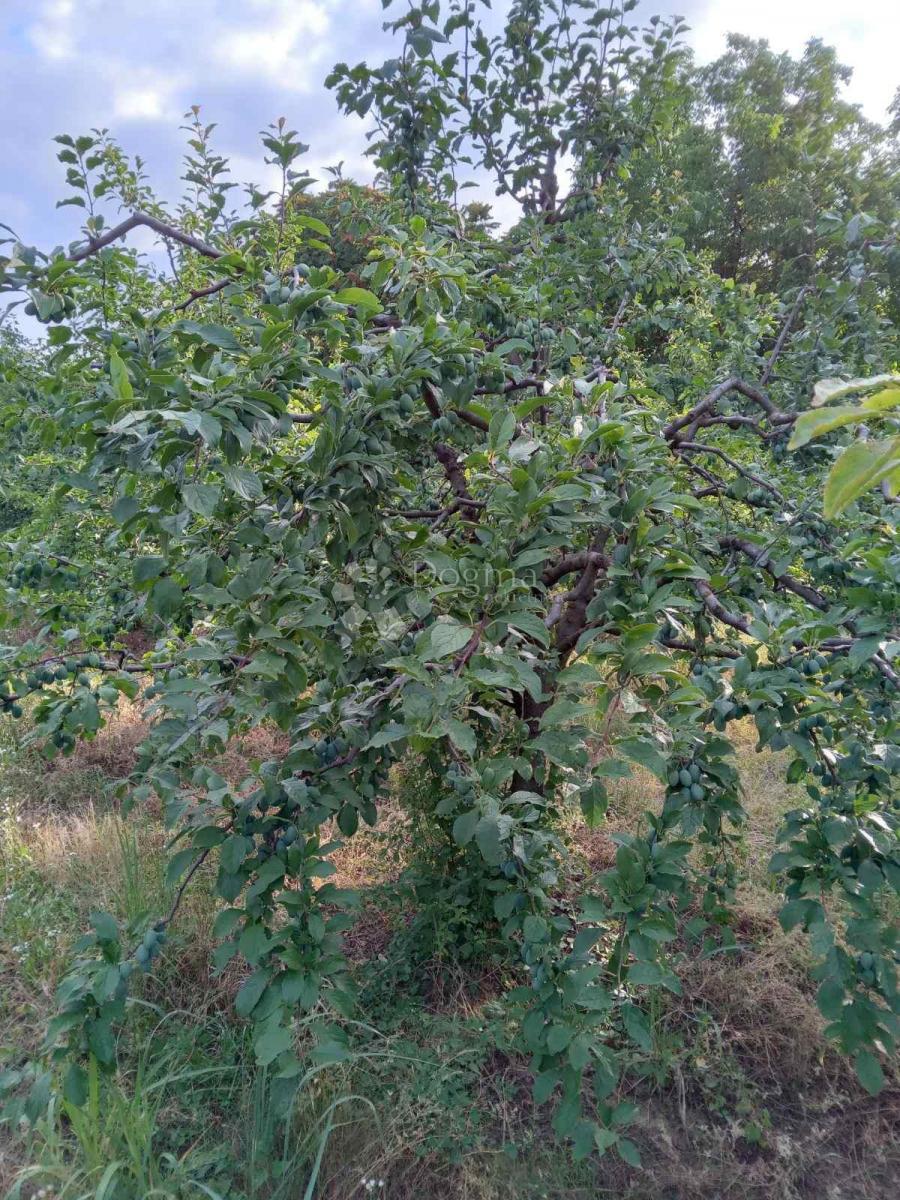 Parcela Na predaj - Osječko-baranjska Beli Manastir - foto 4/17