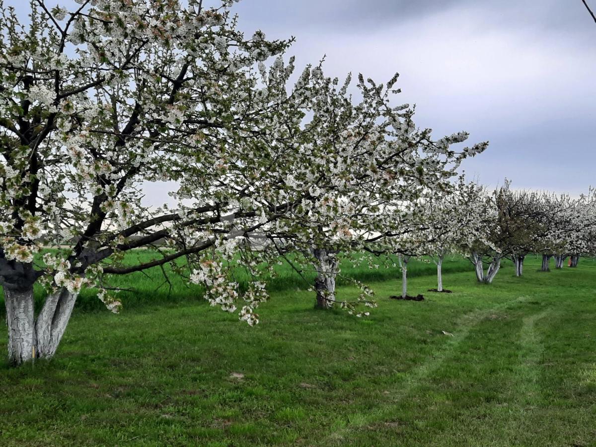 Działka Na sprzedaż - Osječko-baranjska Petrijevci - foto 1/18