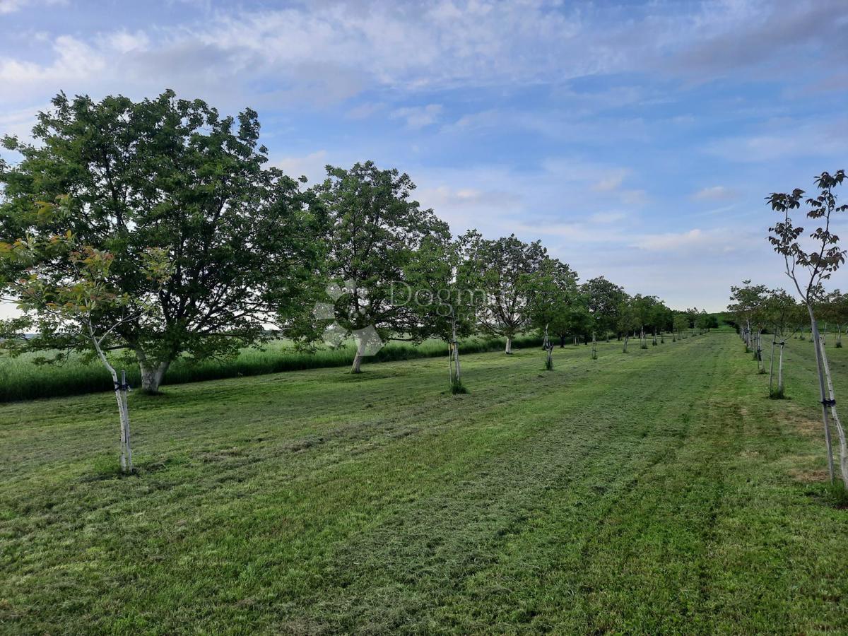 Działka Na sprzedaż - OSJEČKO-BARANJSKA PETRIJEVCI