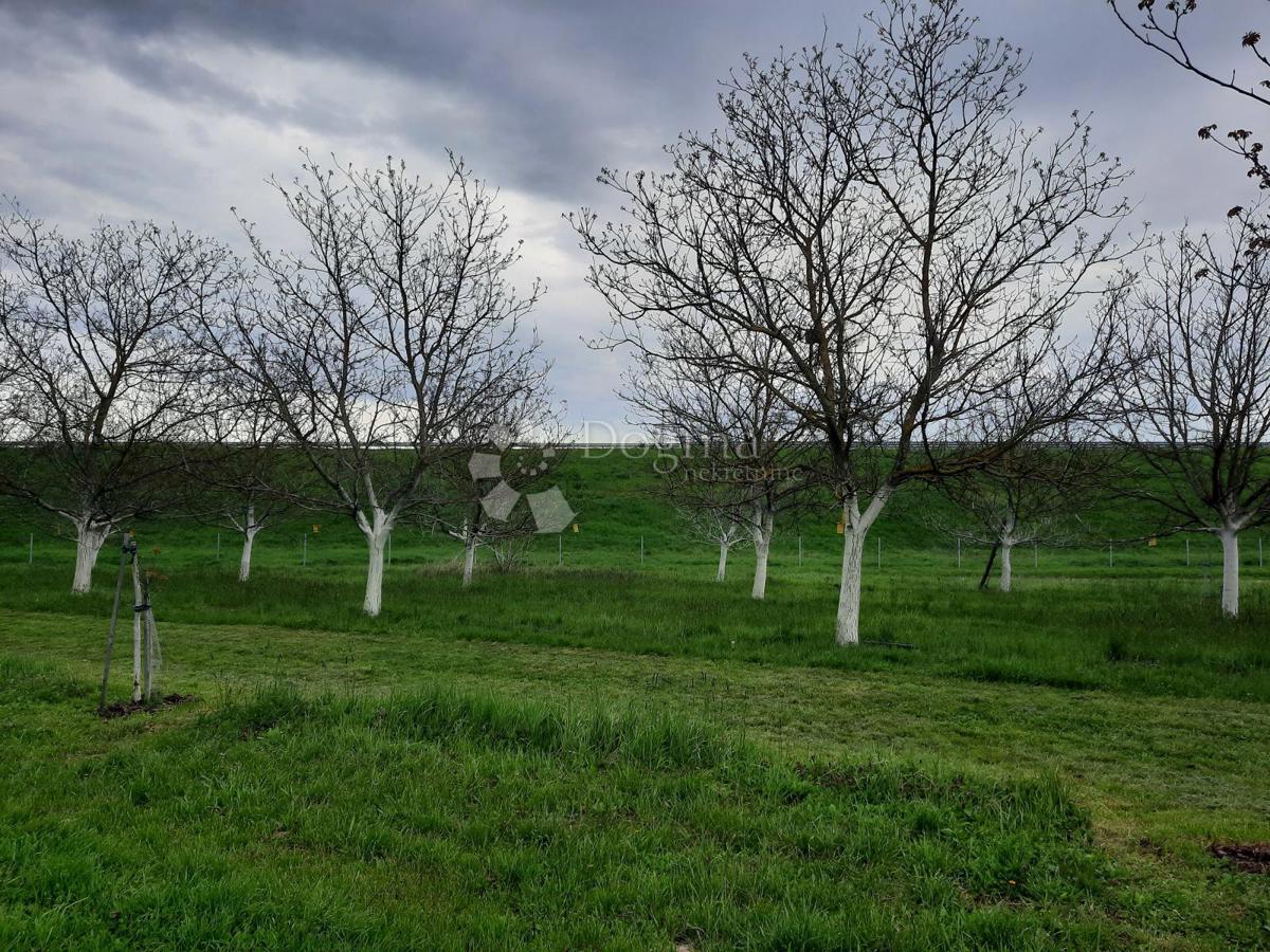 Działka Na sprzedaż - OSJEČKO-BARANJSKA PETRIJEVCI