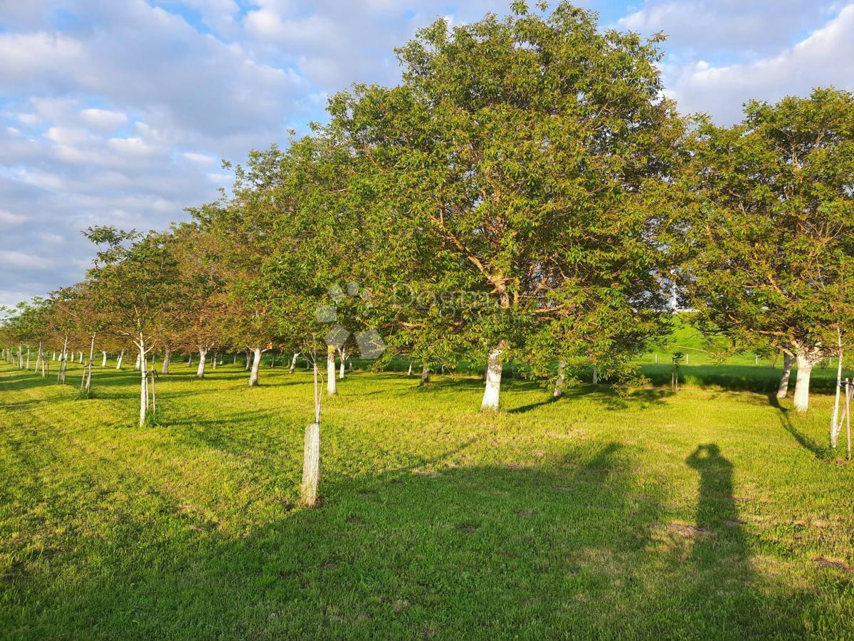 Działka Na sprzedaż - OSJEČKO-BARANJSKA PETRIJEVCI