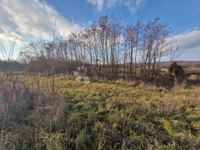 Land For sale - Istarska žminj - foto 4/7