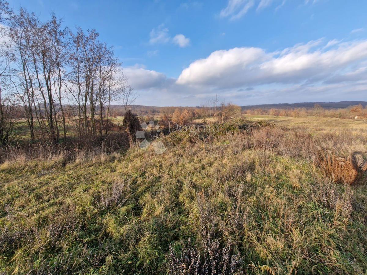 Zemljište Na prodaju - ISTARSKA ŽMINJ