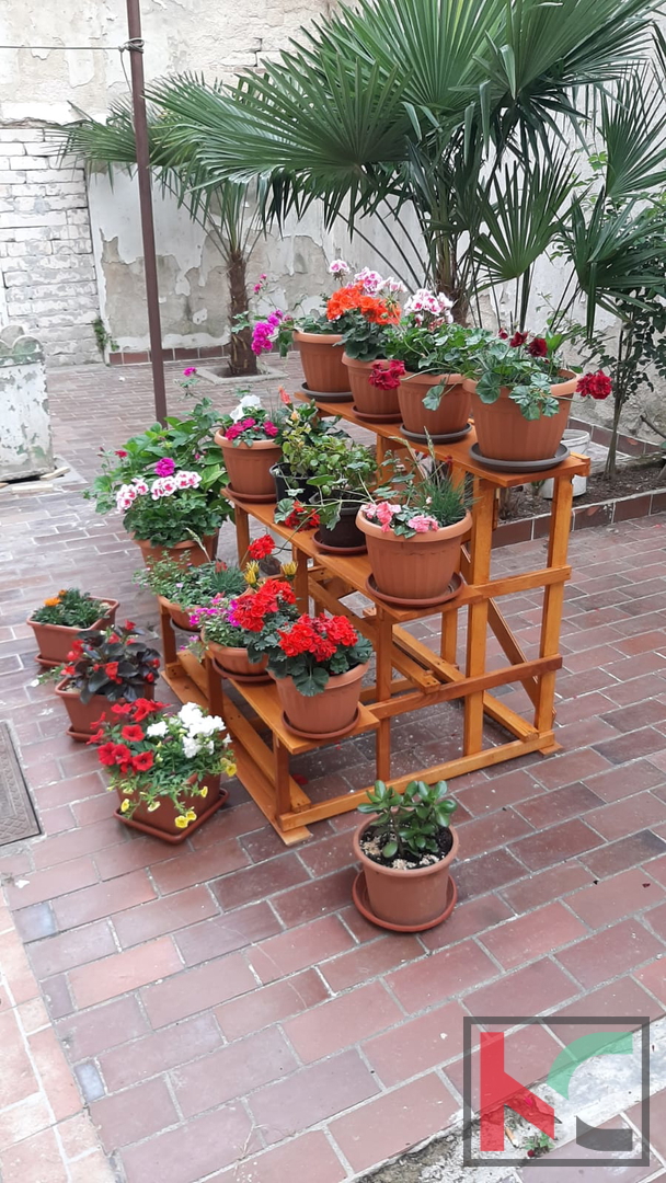 Apartment Zu verkaufen - ISTARSKA PULA