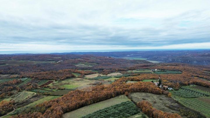 Terreno in vendita 970 m² – Vižinada
