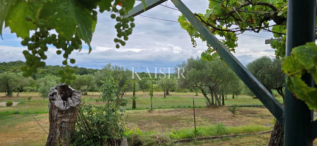 House For sale - ISTARSKA UMAG