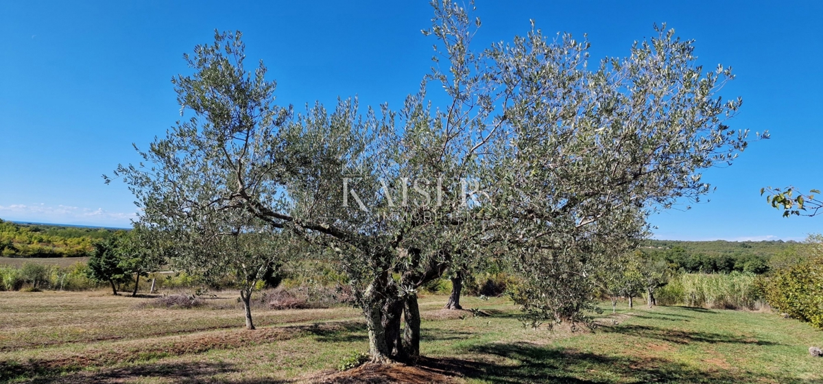 House For sale - Istarska Umag - foto 4/26