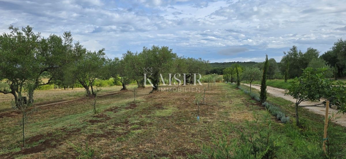 House For sale - Istarska Umag - foto 5/26