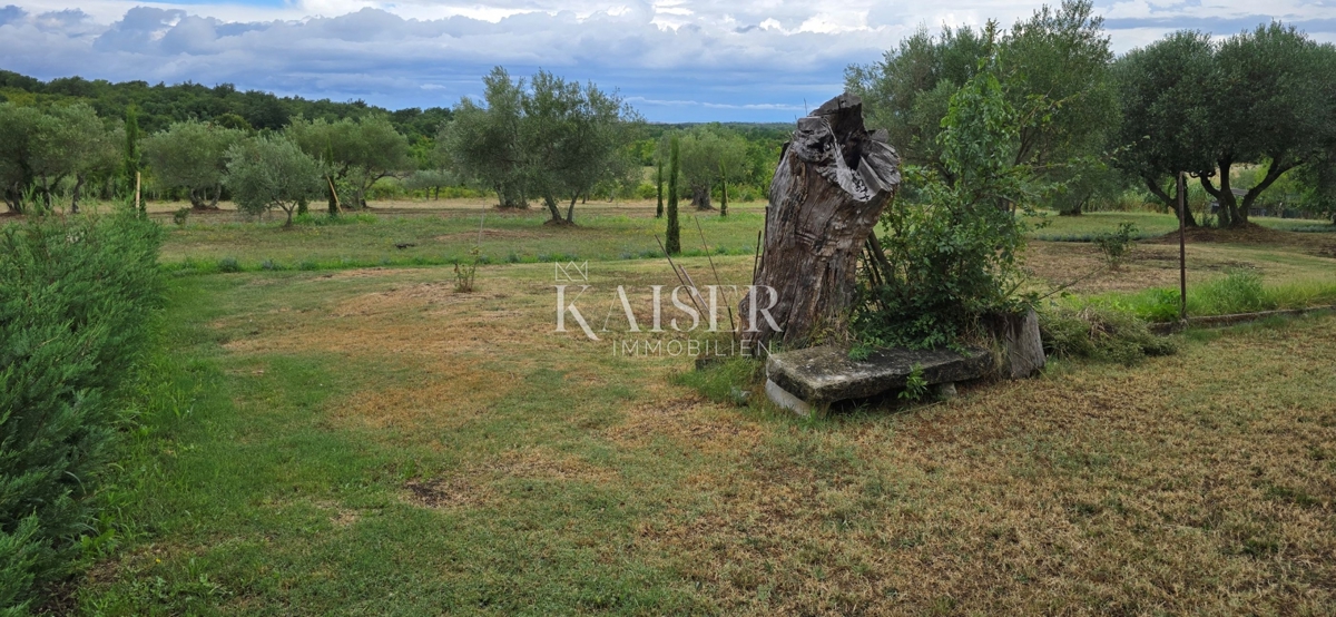 House For sale - ISTARSKA UMAG