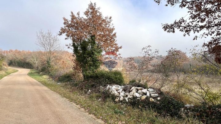 Terreno in vendita 2093 m² – Tinjan