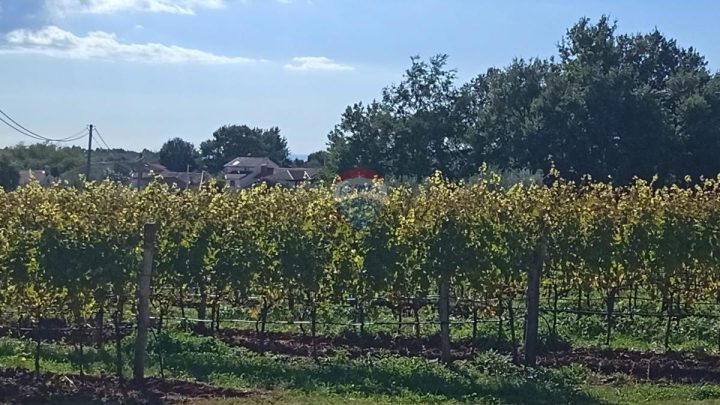 Land for sale 1125 m² – Vižinada