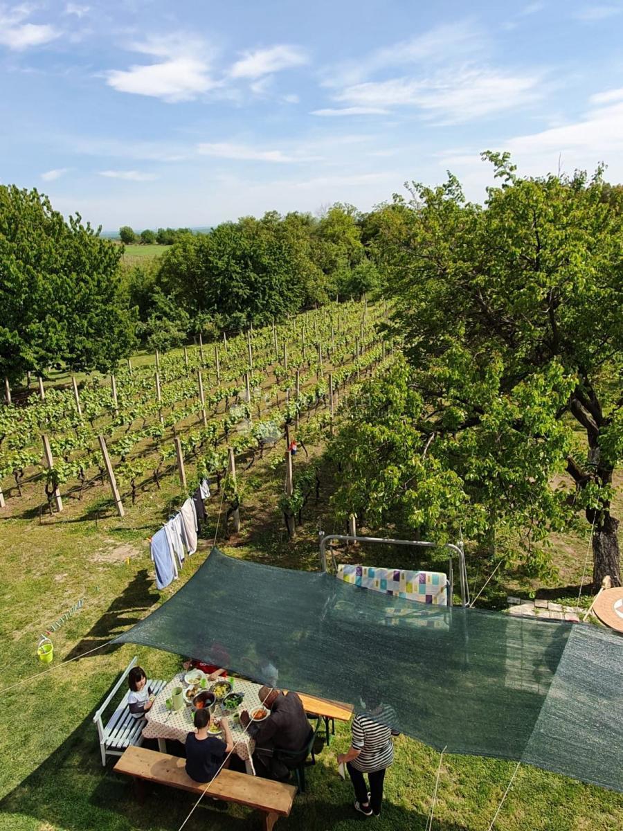 Dom Na sprzedaż - OSJEČKO-BARANJSKA ERDUT