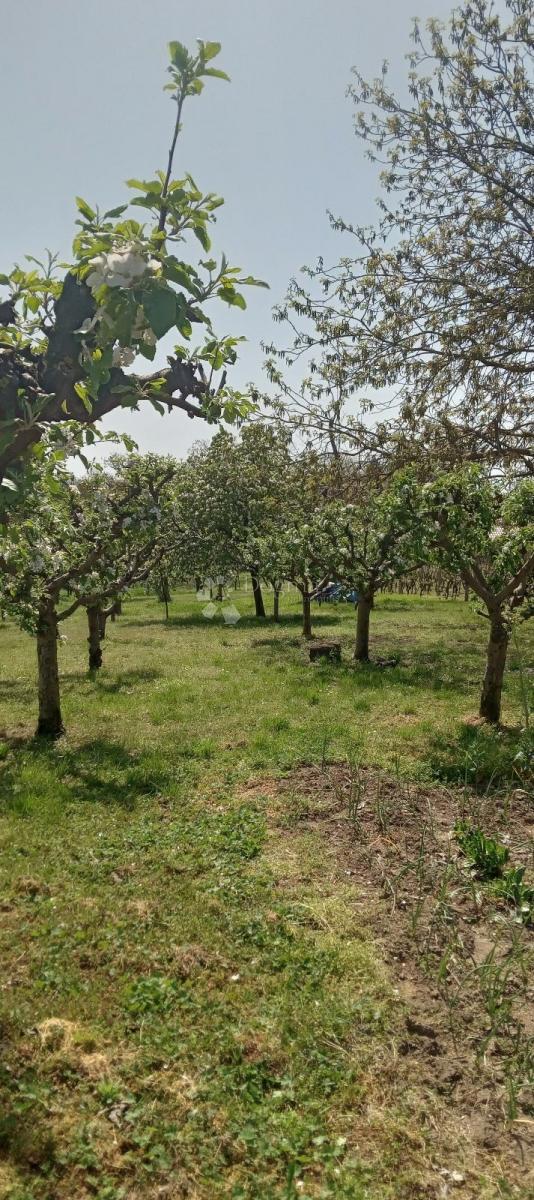 Dom Na sprzedaż - OSJEČKO-BARANJSKA ERDUT