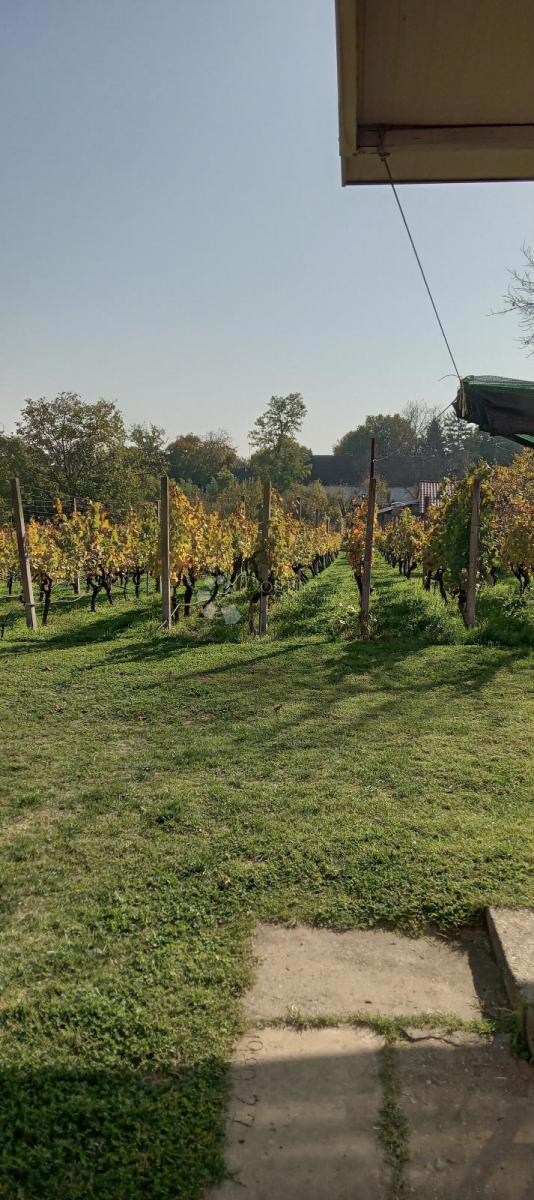 Dom Na sprzedaż - OSJEČKO-BARANJSKA ERDUT