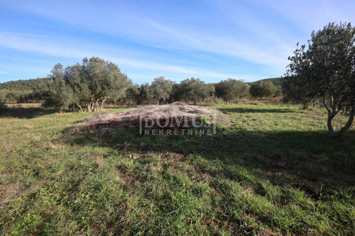 Terrain À vendre - Šibensko-kninska Tribunj - foto 4/13