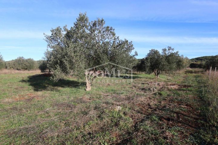 Terrain À vendre - Šibensko-kninska Tribunj - foto 5/13