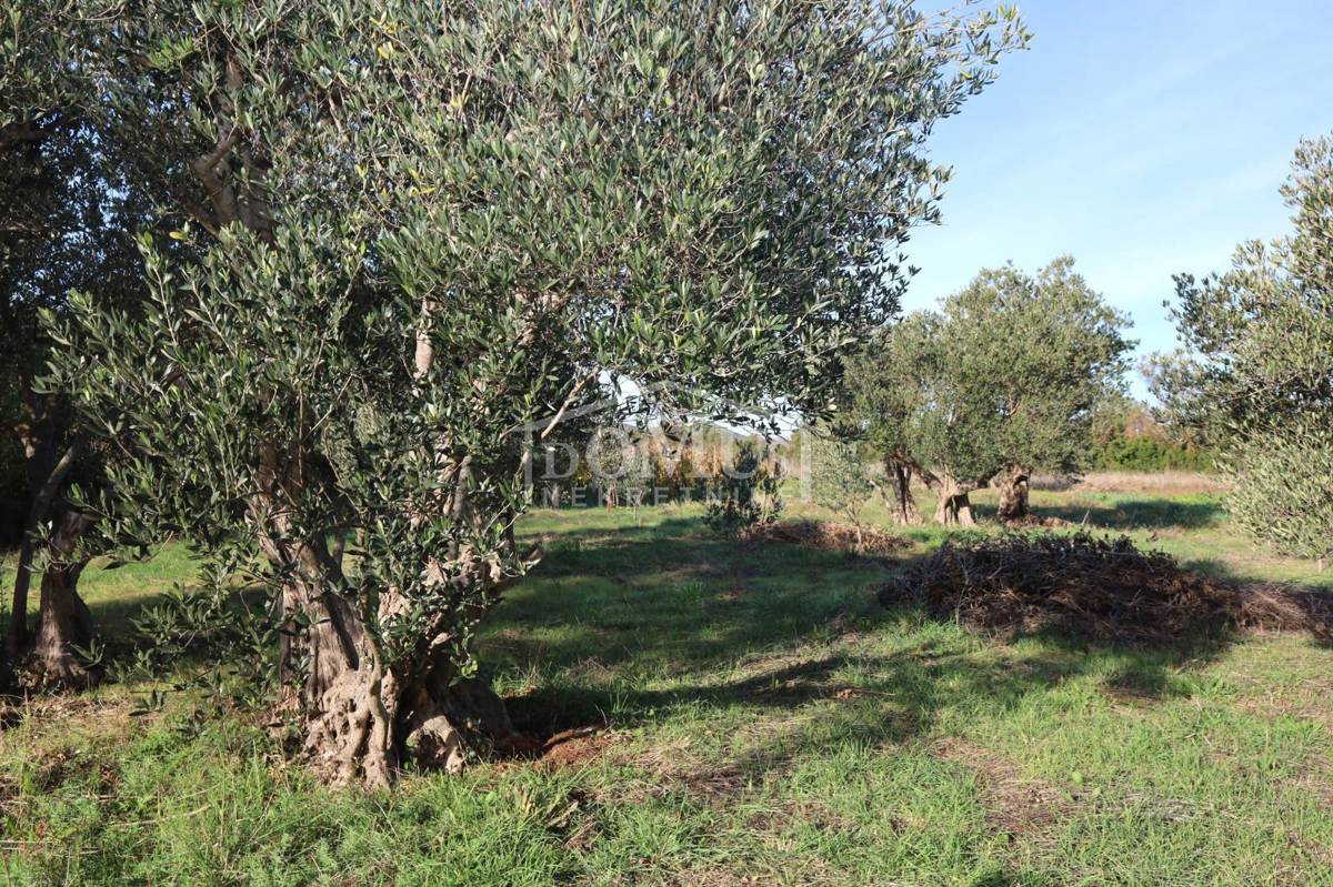 Terreno In vendita - ŠIBENSKO-KNINSKA TRIBUNJ