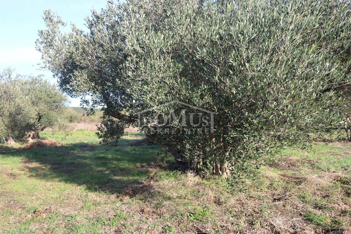 Terreno In vendita - ŠIBENSKO-KNINSKA TRIBUNJ