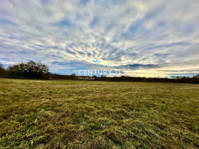Land For sale - Istarska žminj - foto 2/6